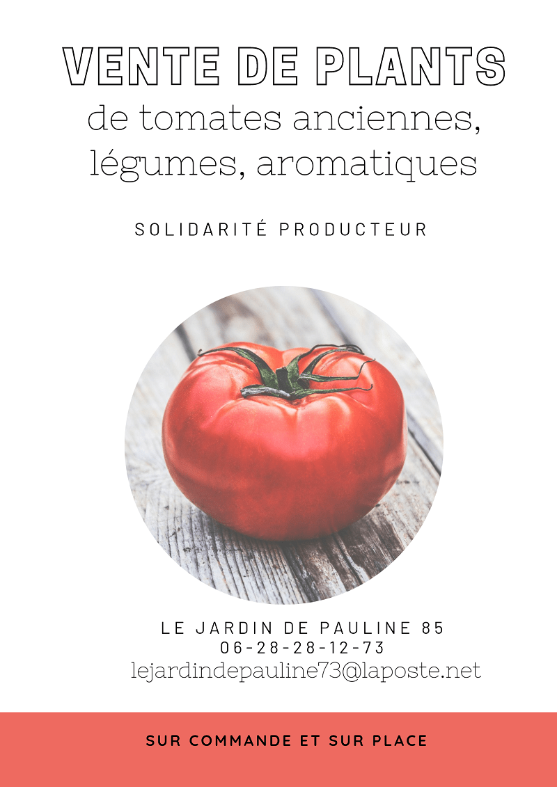 vente plants de tomates le jardin de Pauline 85