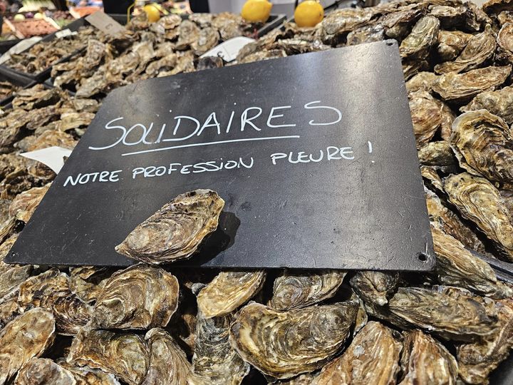 Huîtres de l'îsle de Bouin